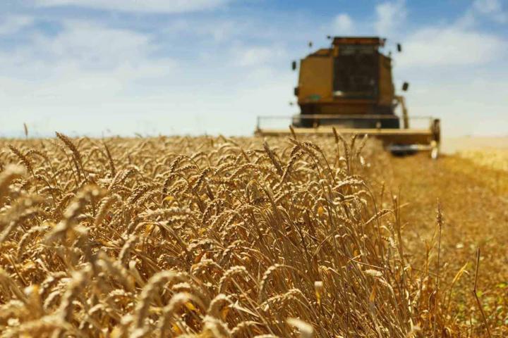 Notre exploitation agricole  existe depuis 1986